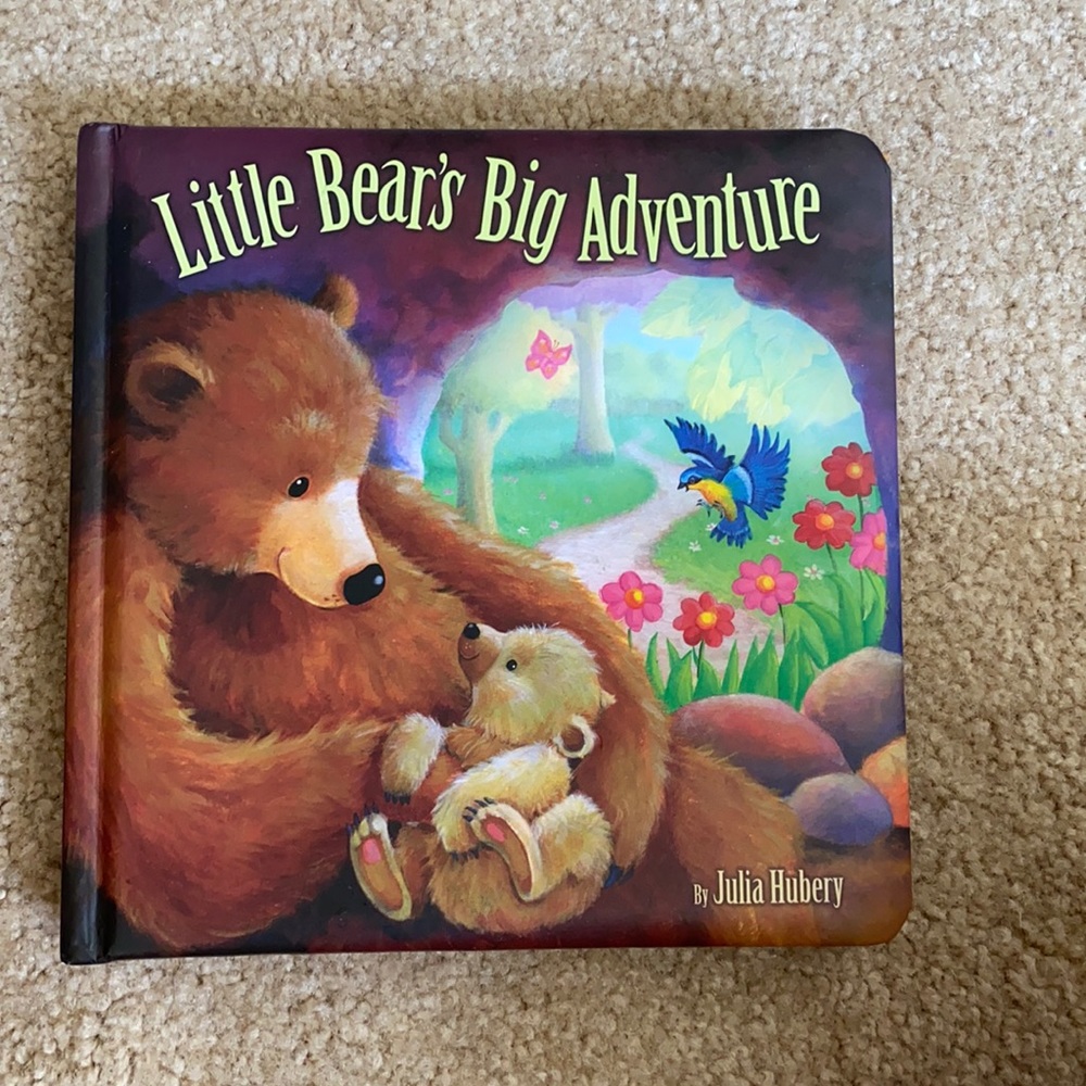 Picture book
